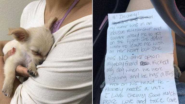 photo of the abandoned pup and the letter