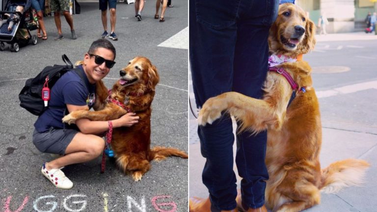 Dog hugging people