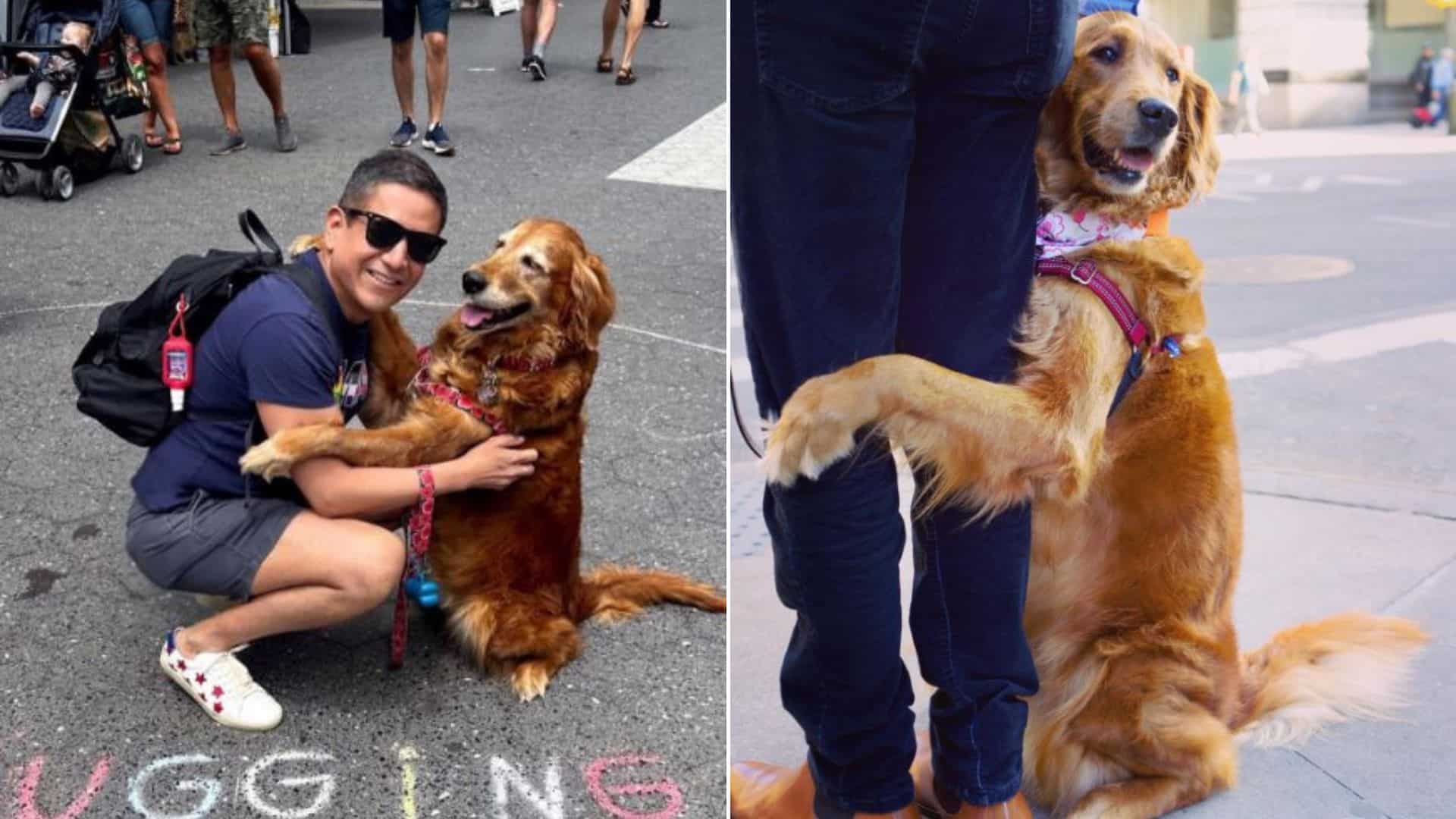 Dog hugging people