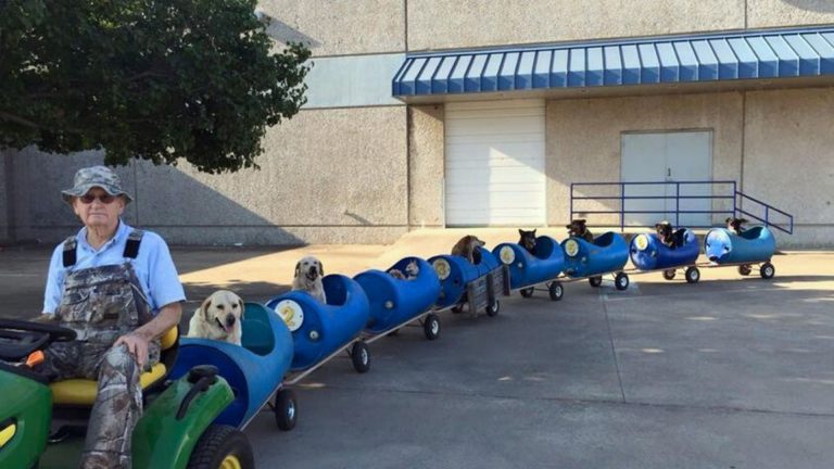 grandpa and dog train