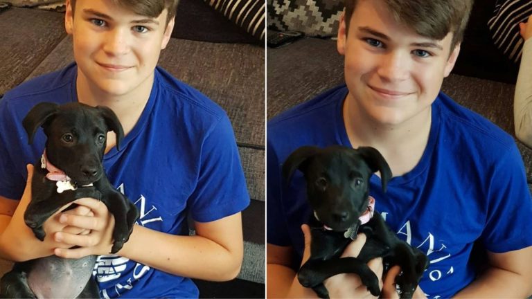 a boy with dog