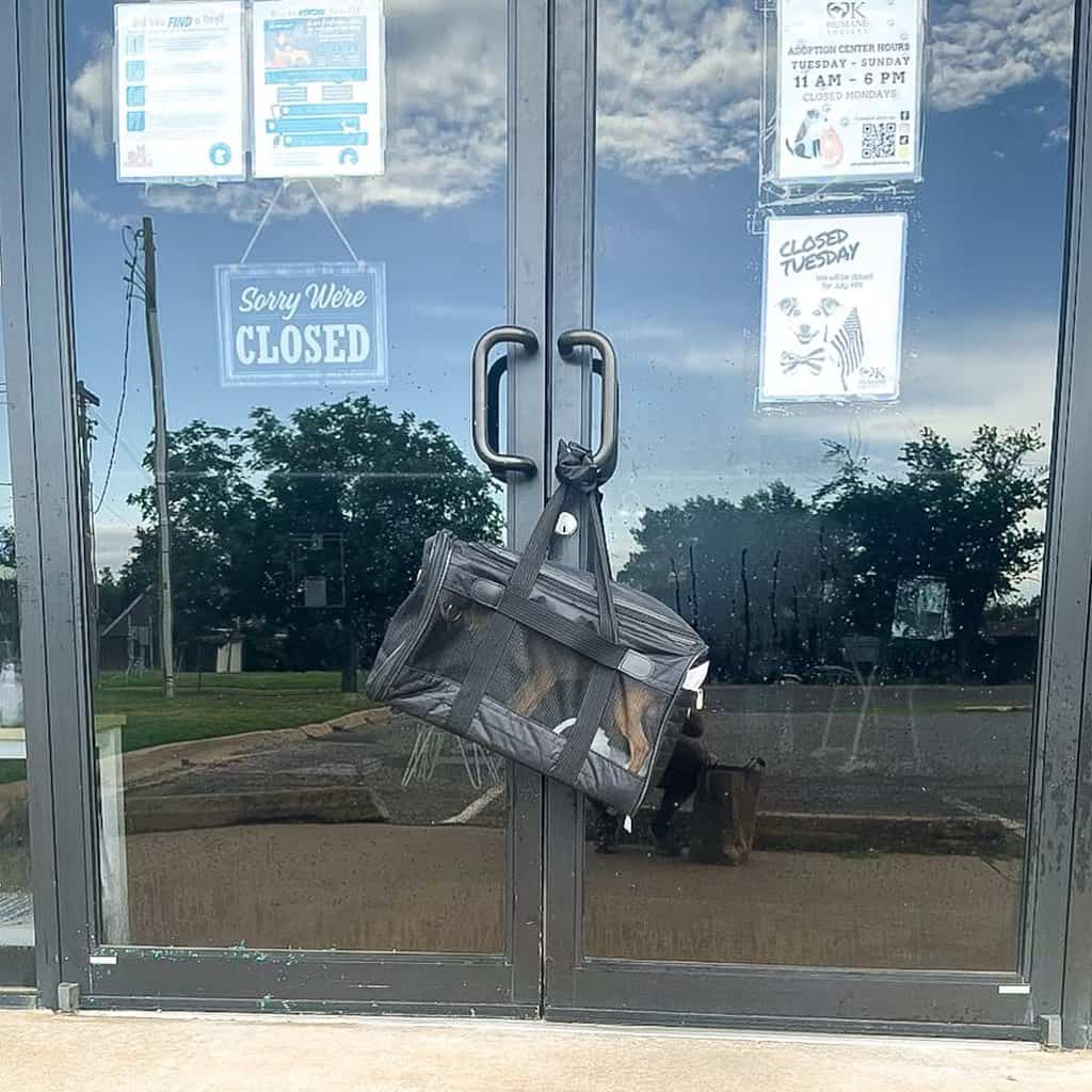 Closed door with dog in bag