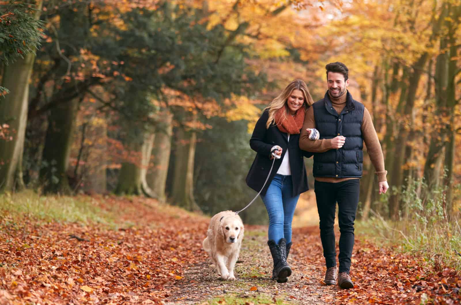 Couple Walking With Golden Retriever Dog