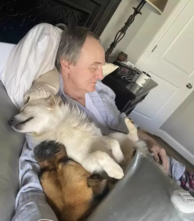 Papá tomando una siesta con el perro de los vecinos
