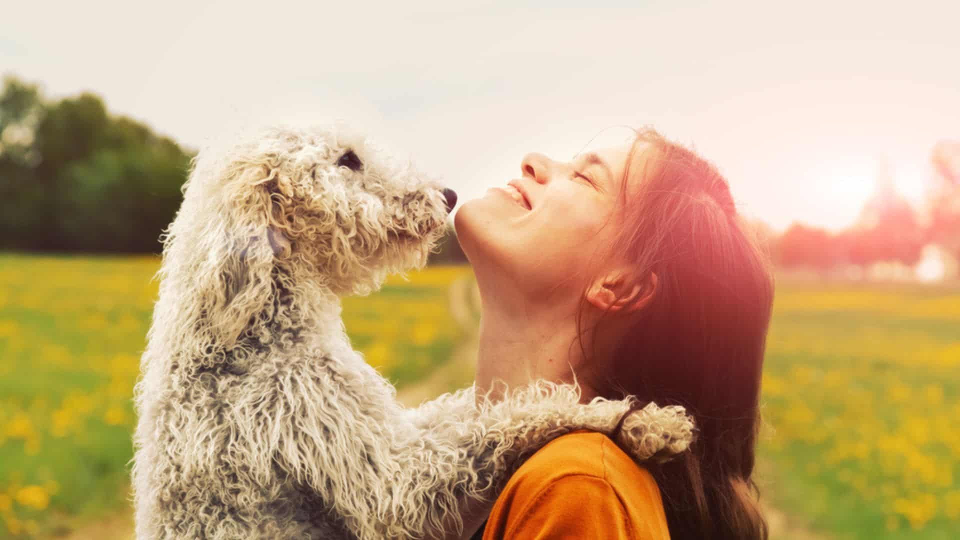 dog kissing his owner