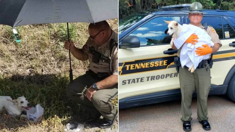 police officer bond with dog