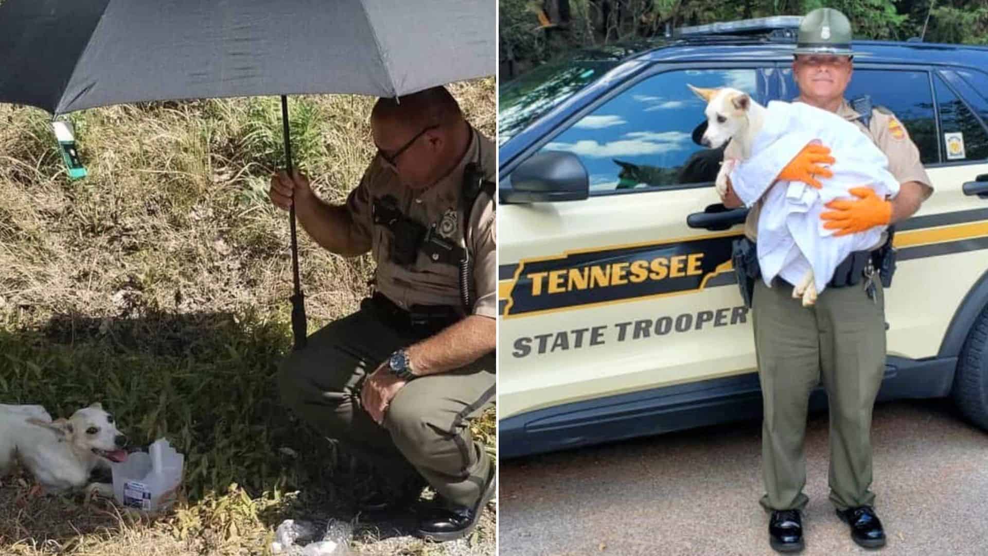 police officer bond with dog