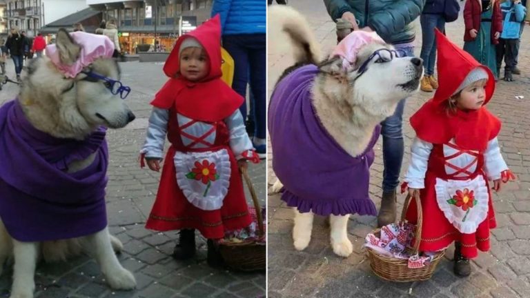 little girl Agata and her husky Yanuk