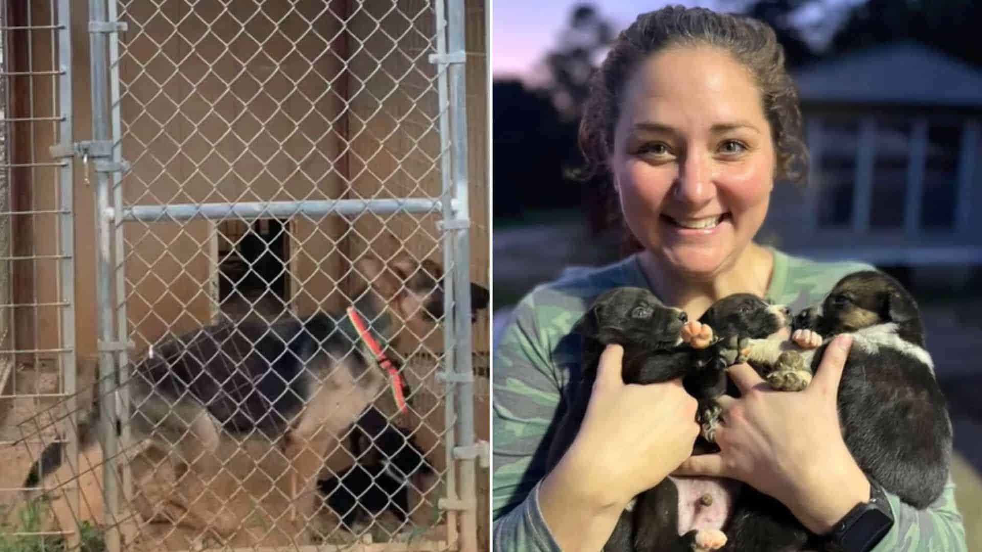 smiling woman holding puppies