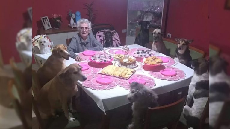 grandma with dogs