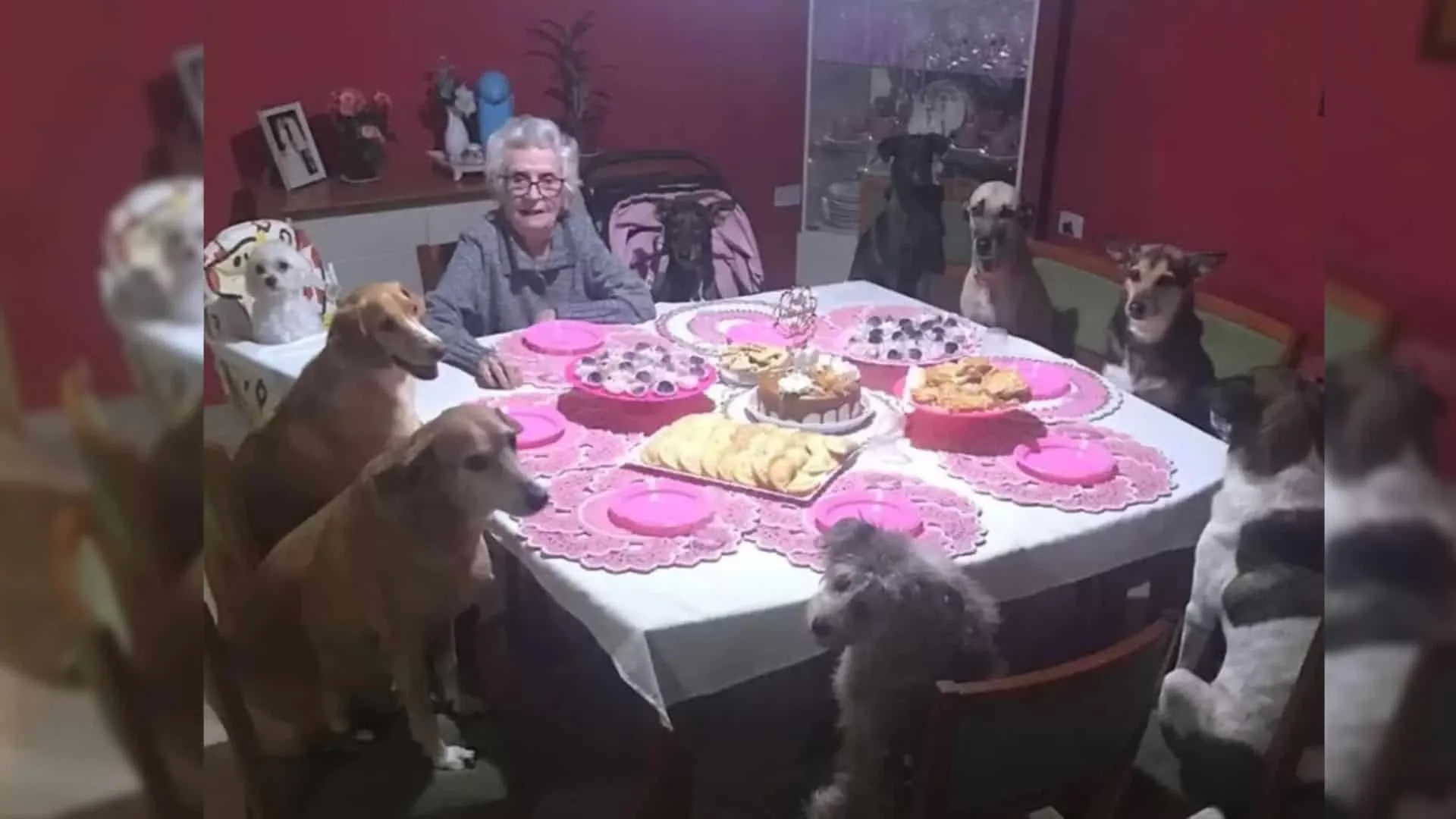 Grandma Celebrates Her 89th Birthday With Ten Dogs