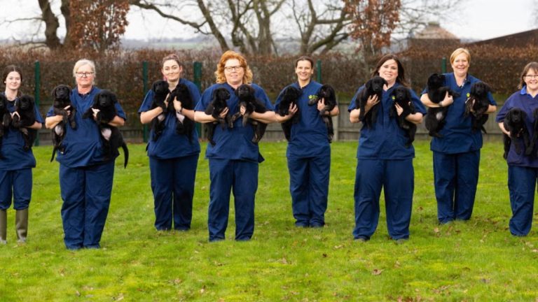 women holding puppies