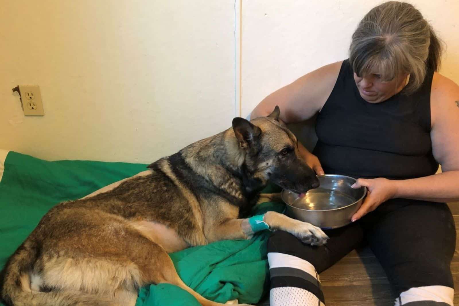 Hannah drinking water from a bowl in woman's lap