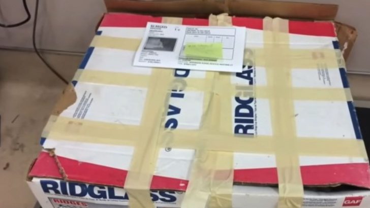 These Shelter Workers Were Shocked When They Opened A Sealed Box