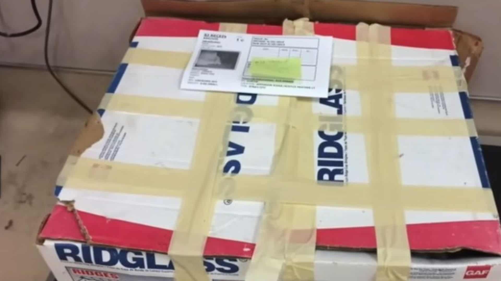 Shelter Workers Were Stunned By A Heartbreaking Discovery Inside A Mystery Box