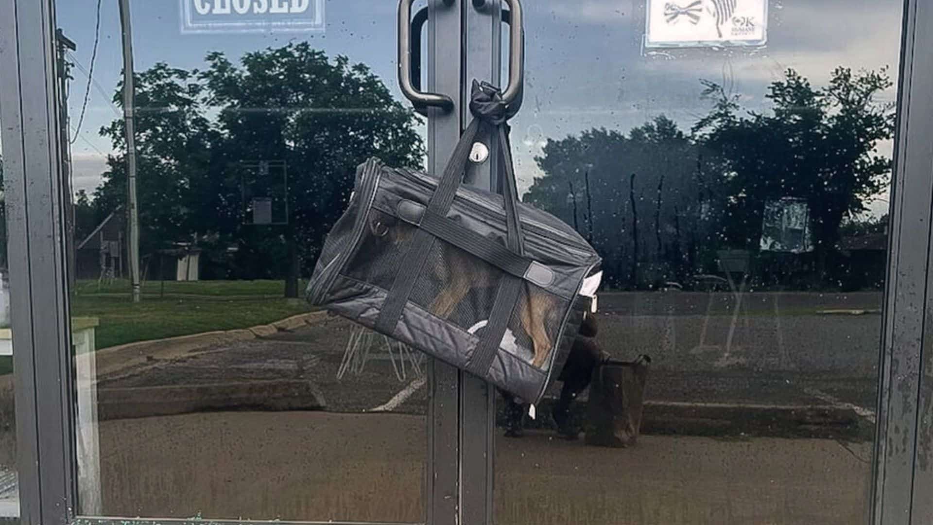 Bag with dog inside