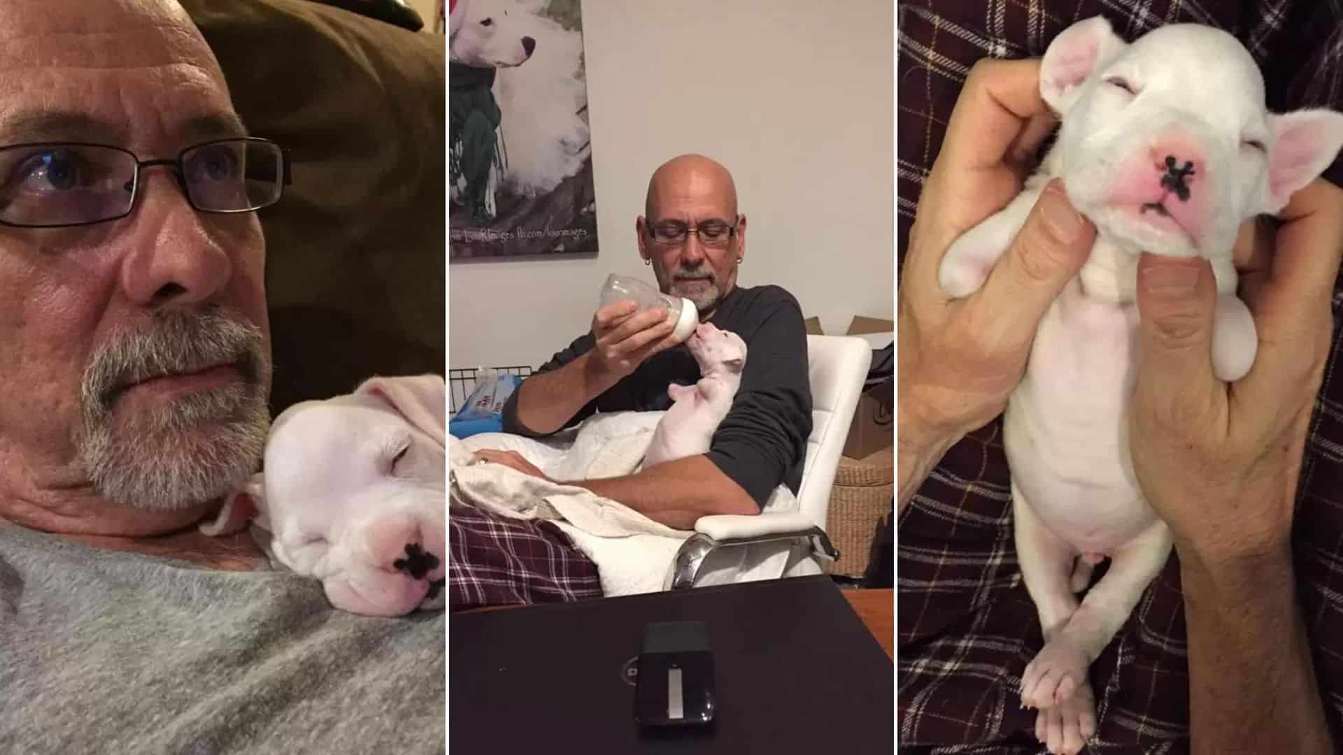 puppy with no front legs nurtured by his owner
