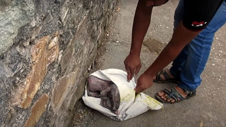 man opening up a plastic bag in the street
