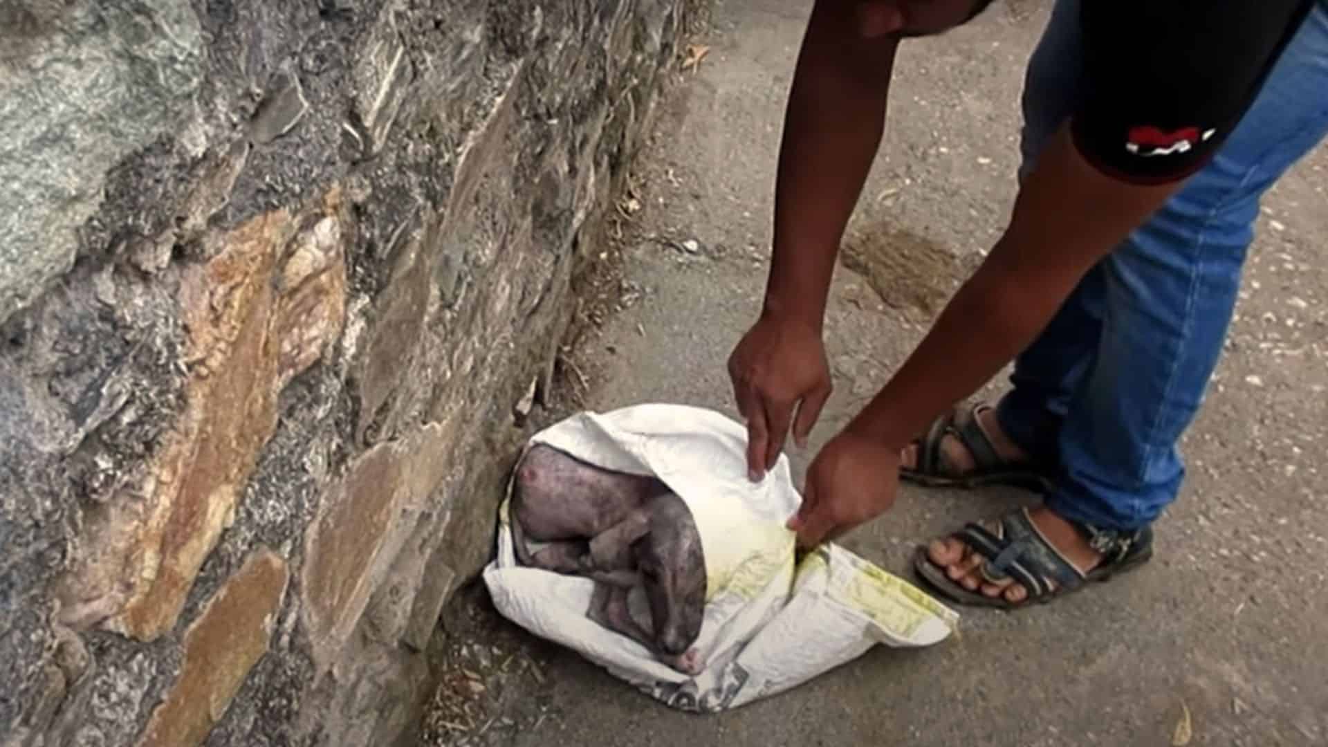 man opening up a plastic bag in the street
