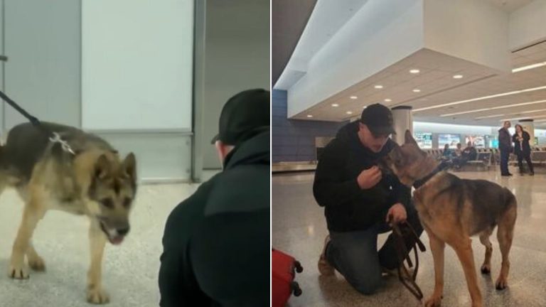 retired marine Reunites with his military K9
