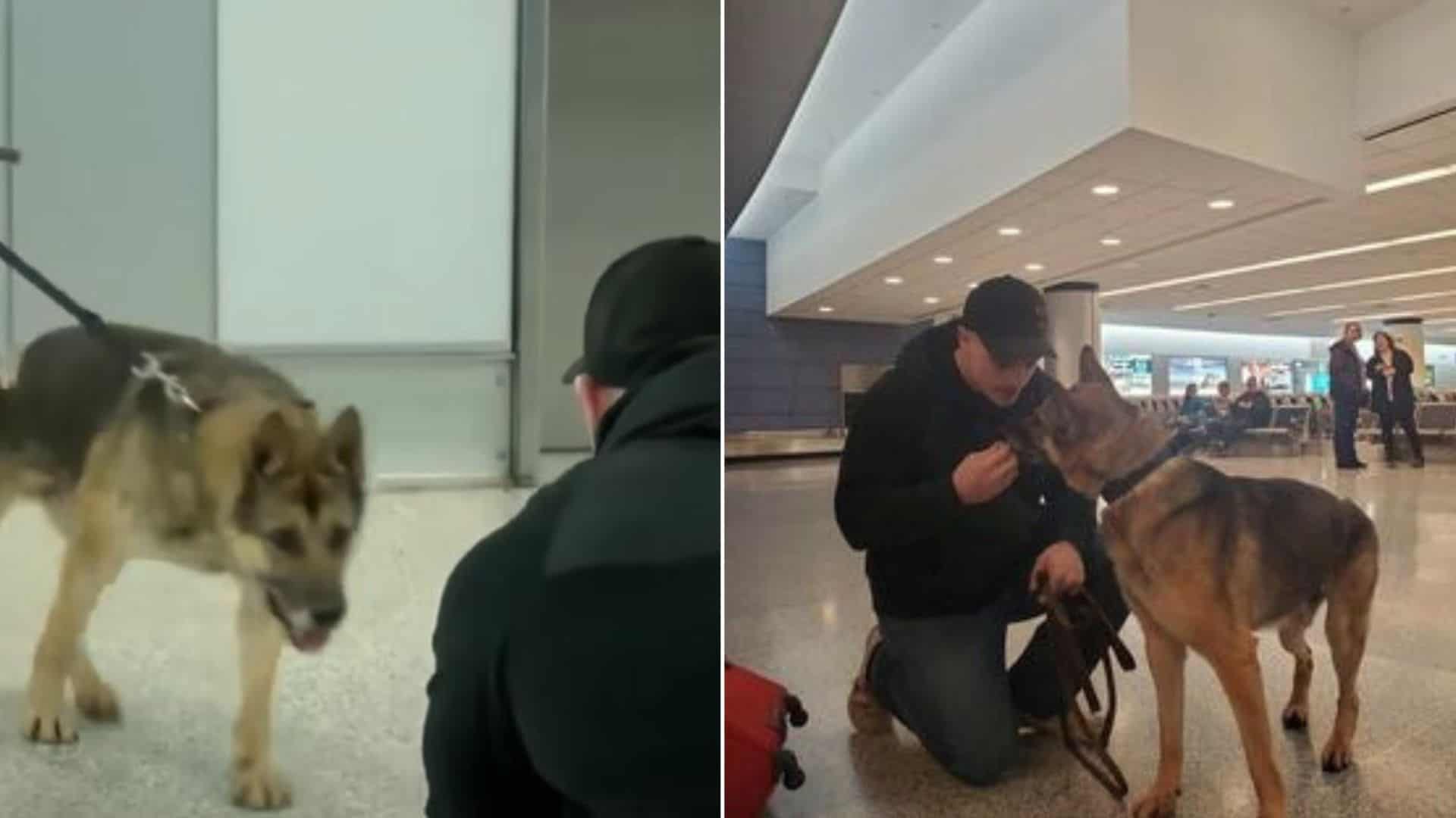 retired marine Reunites with his military K9