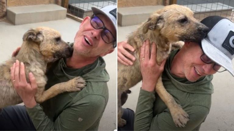 sick dog gets adopted