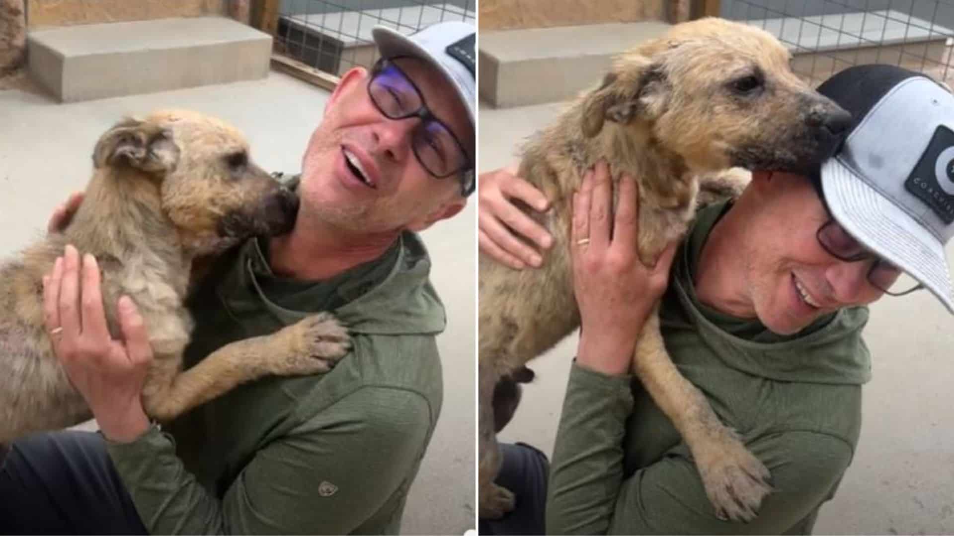 sick dog gets adopted