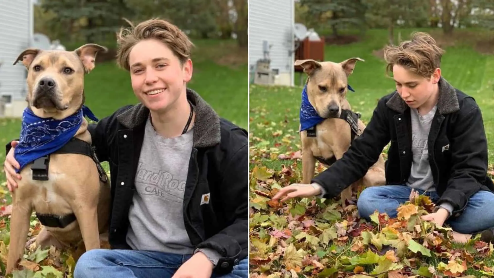 Adolescente salva a un perro que sufre y consigue una mejor amiga