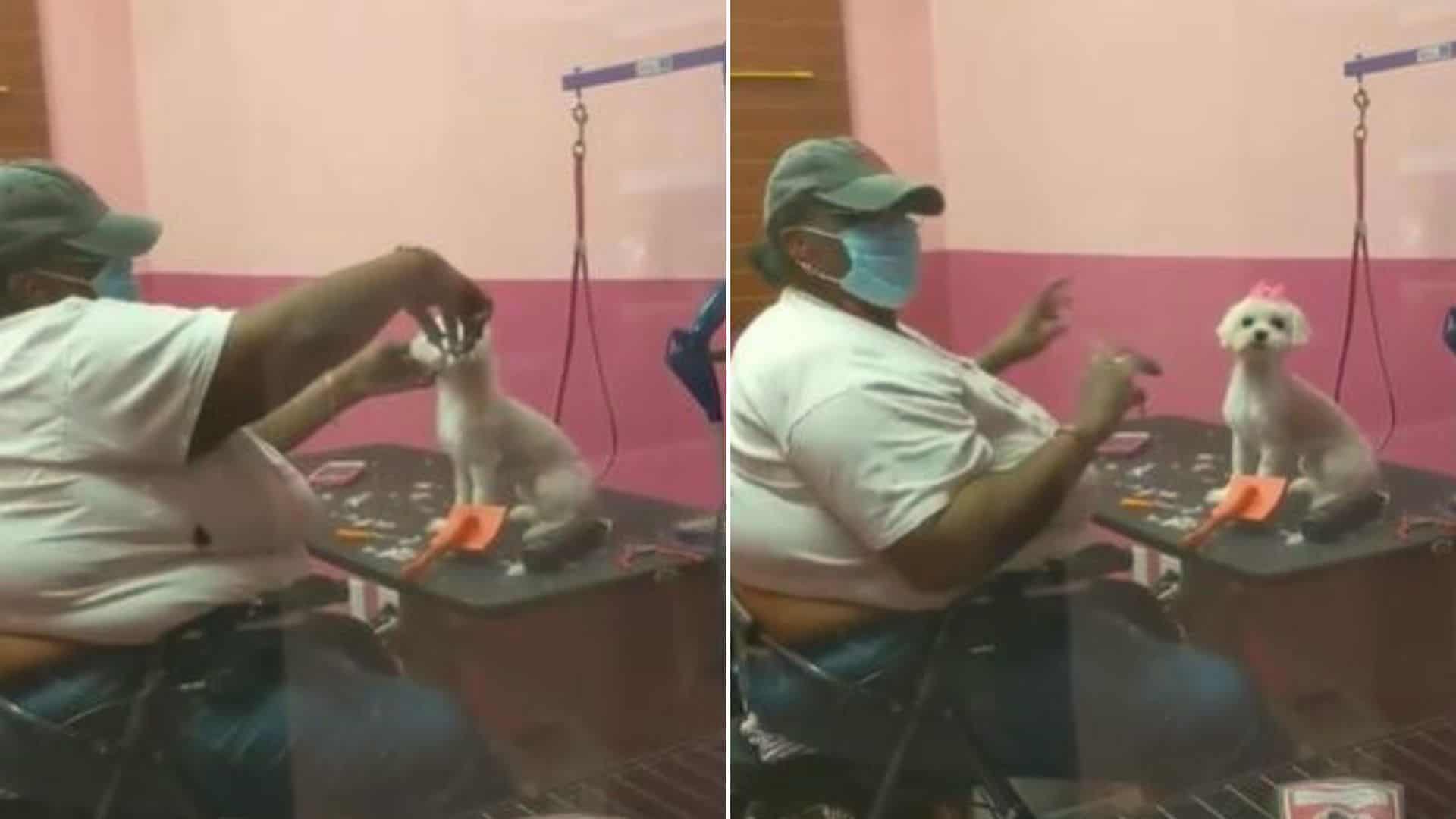 Dog and new owner sitting