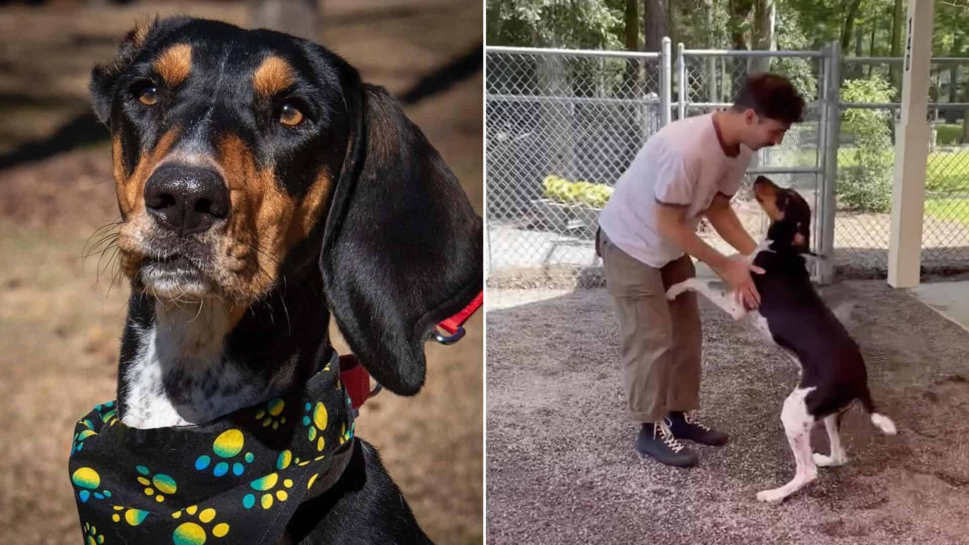 man and dog reunited in shelter