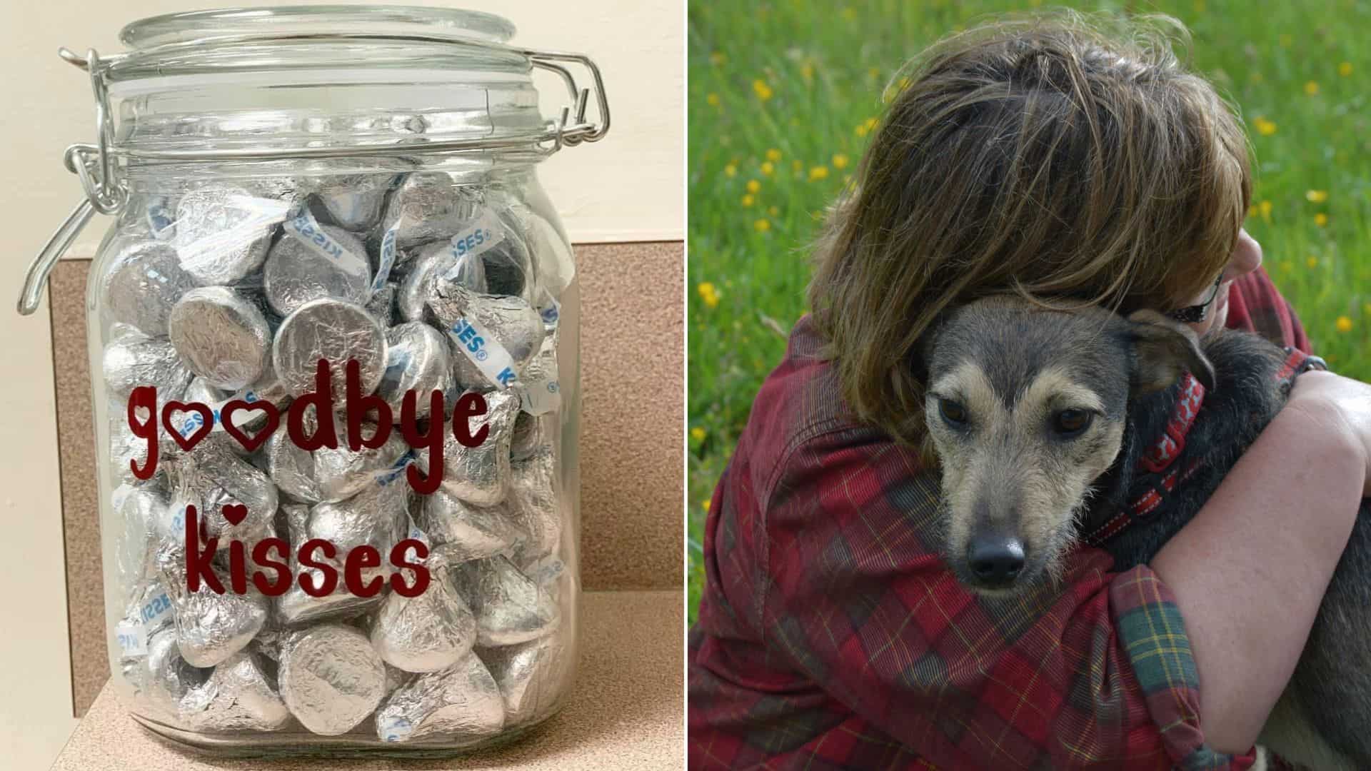 photo of a woman holding a dog