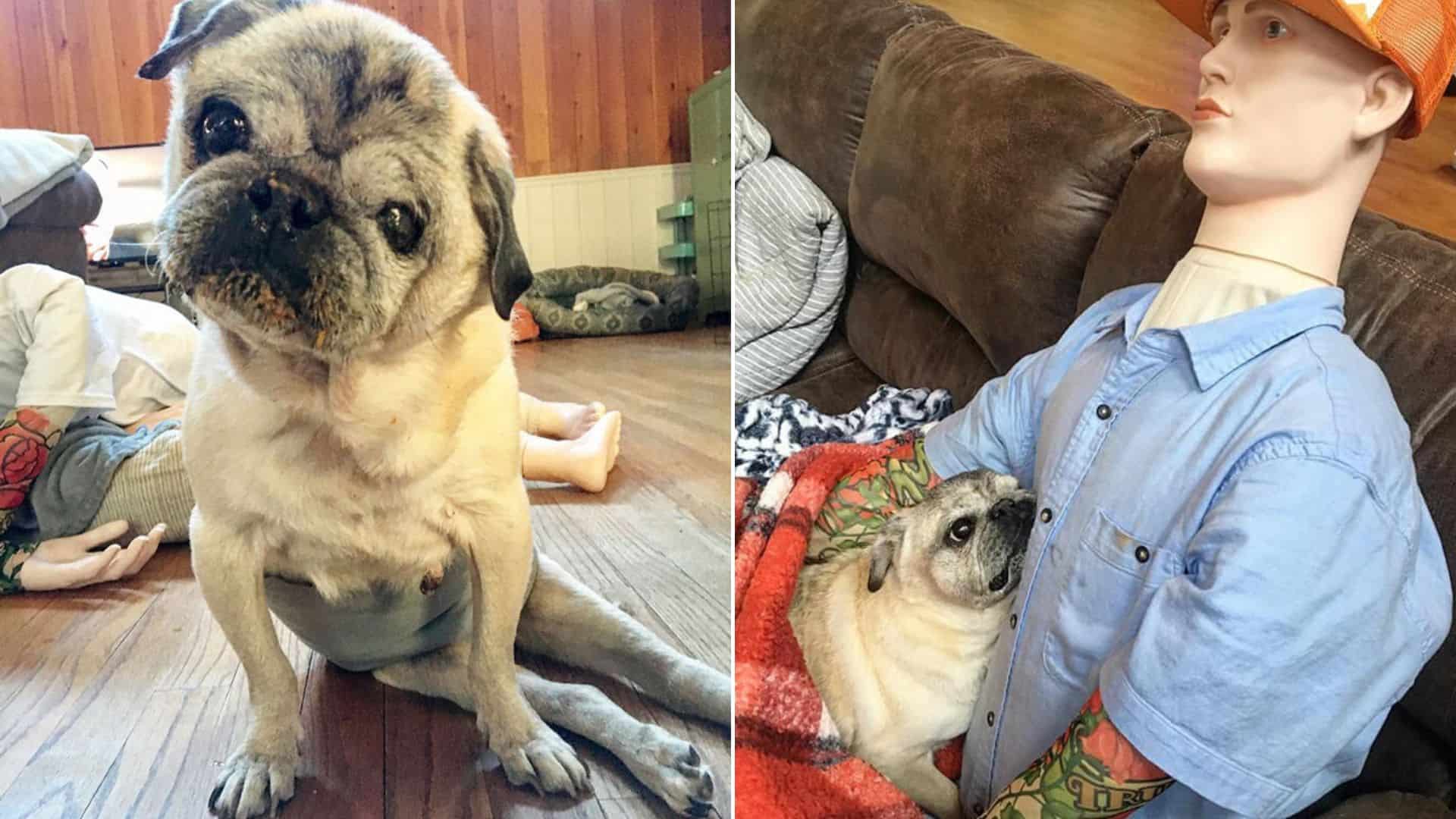 family with dog
