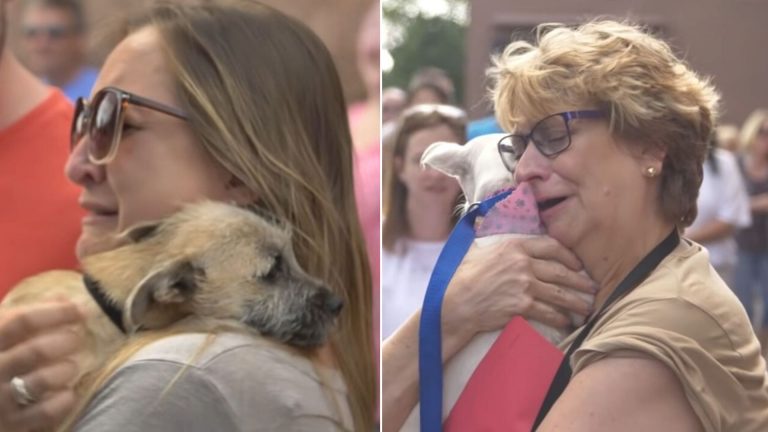 two woman hugging dogs