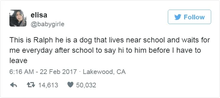 publicación de twitter sobre ralph el perro