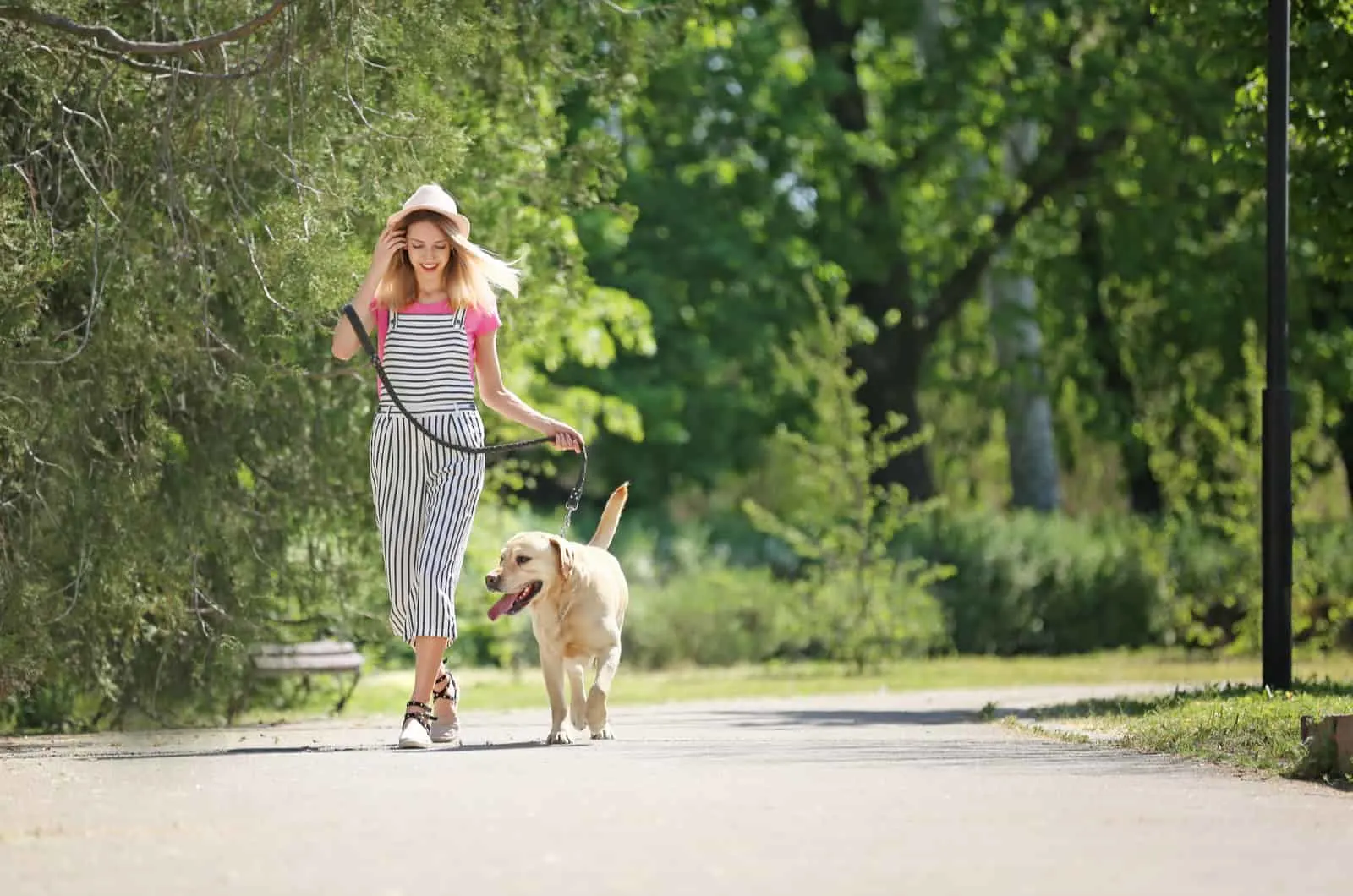 Young woman and her dog spending time together outdoors