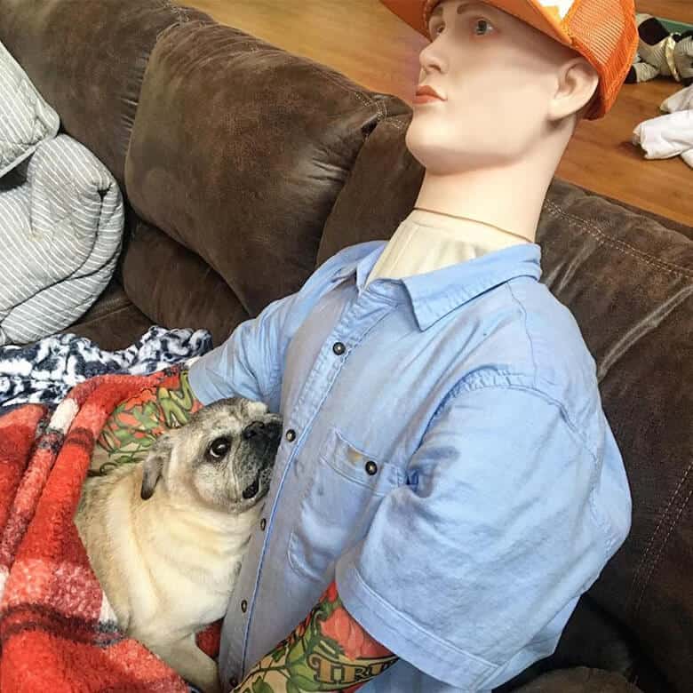 a dog with a plastic man