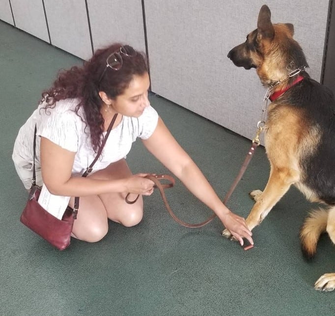 a woman is holding a German shepherd on a leash