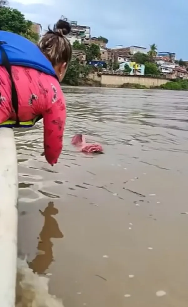 a woman rescuing a dog in floating bag in the river