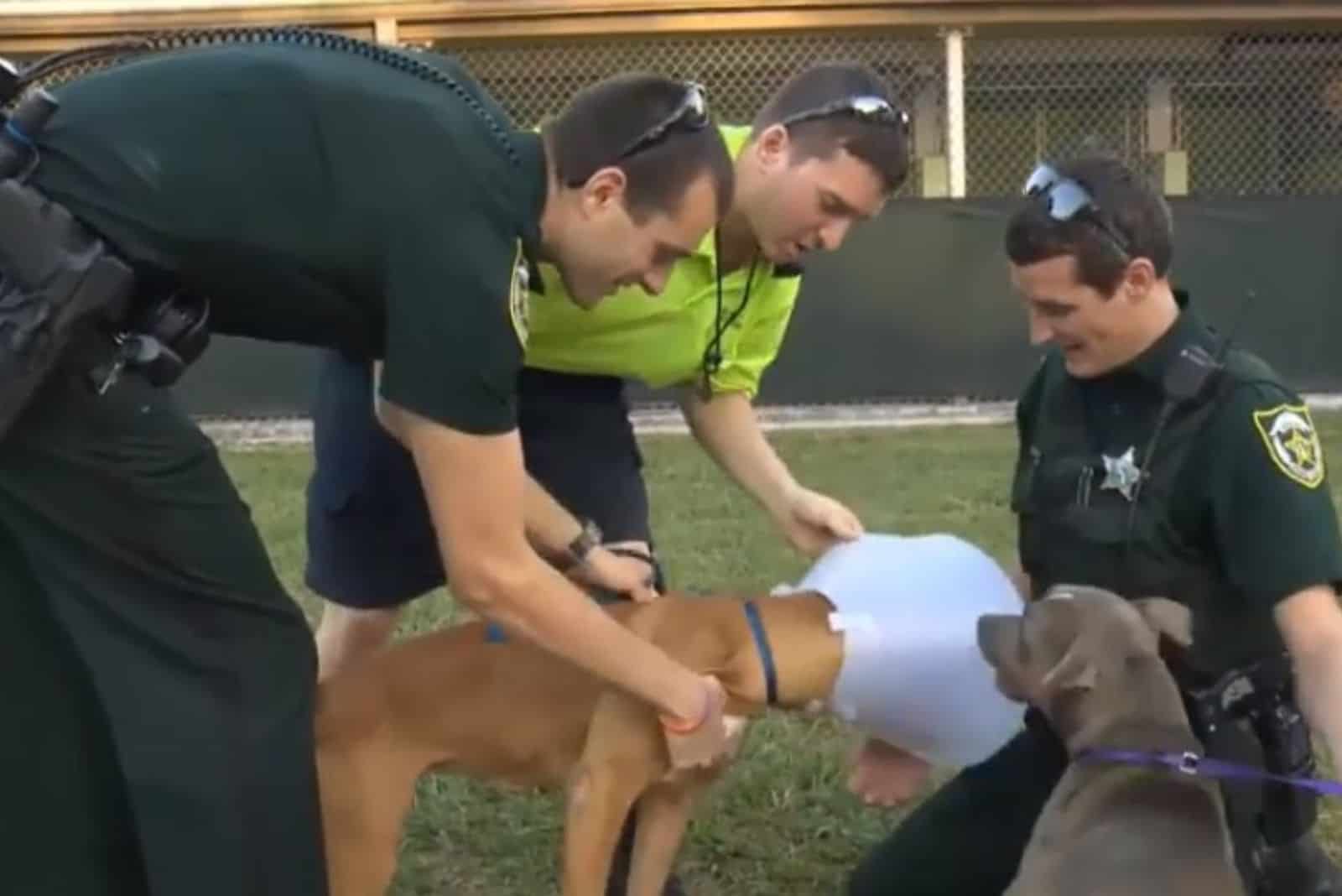 dog with collar and few policemans