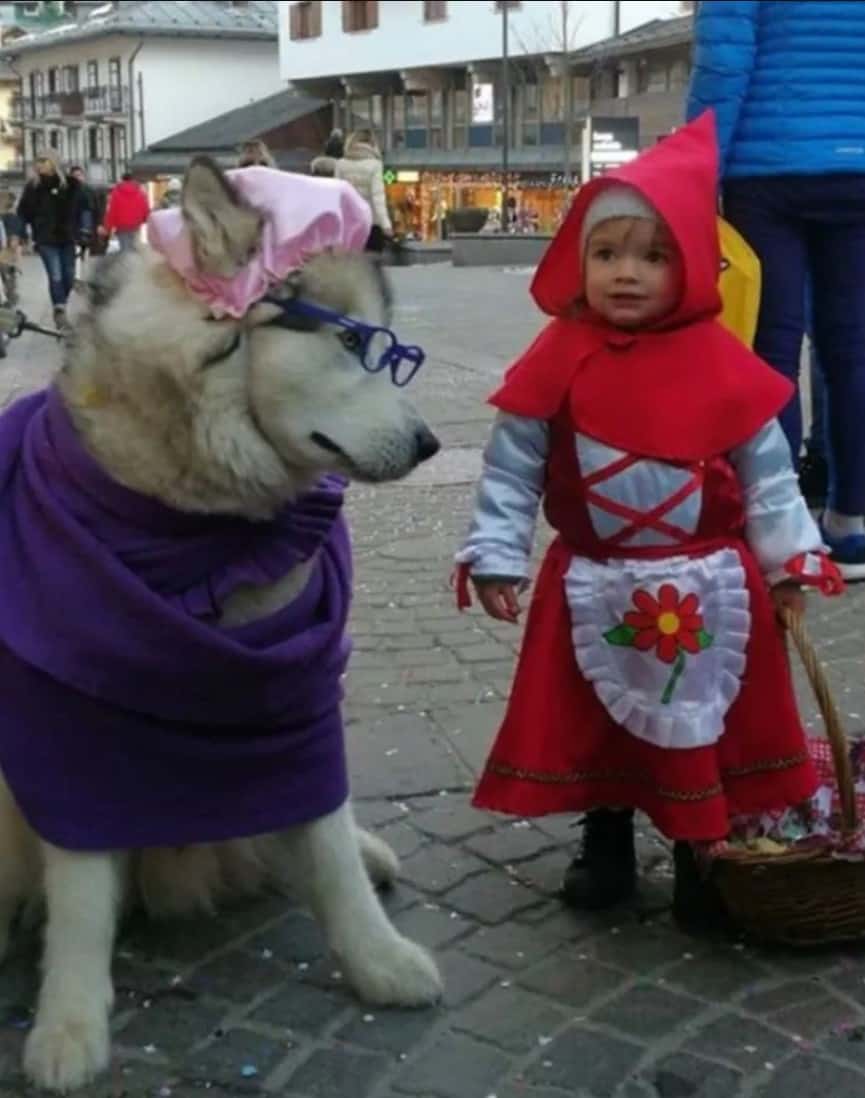 dressed up Agata and Yanuk next to each other