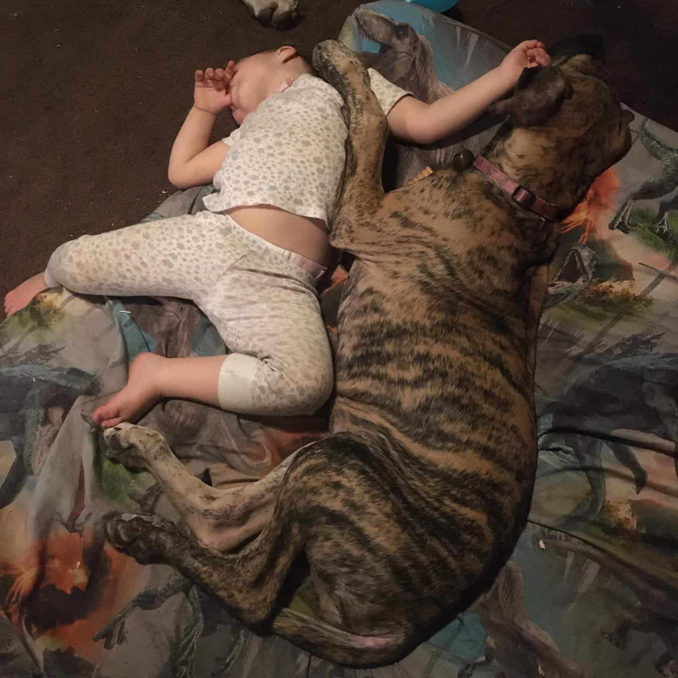 female great dane sleeping with a baby
