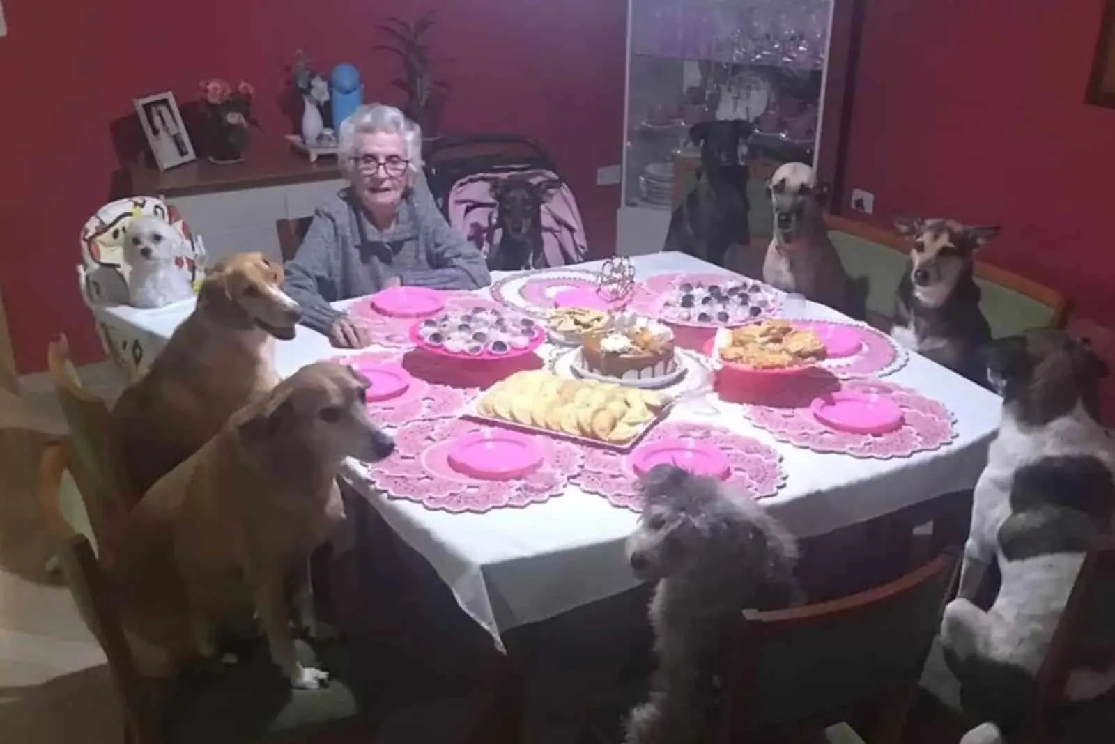 grandma with dogs by the table