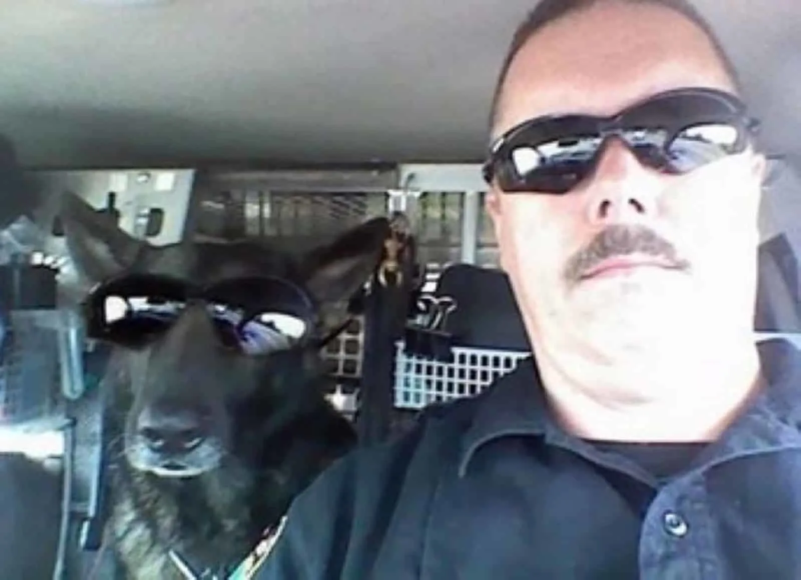 k9 officer and his dog wearing sunglasses