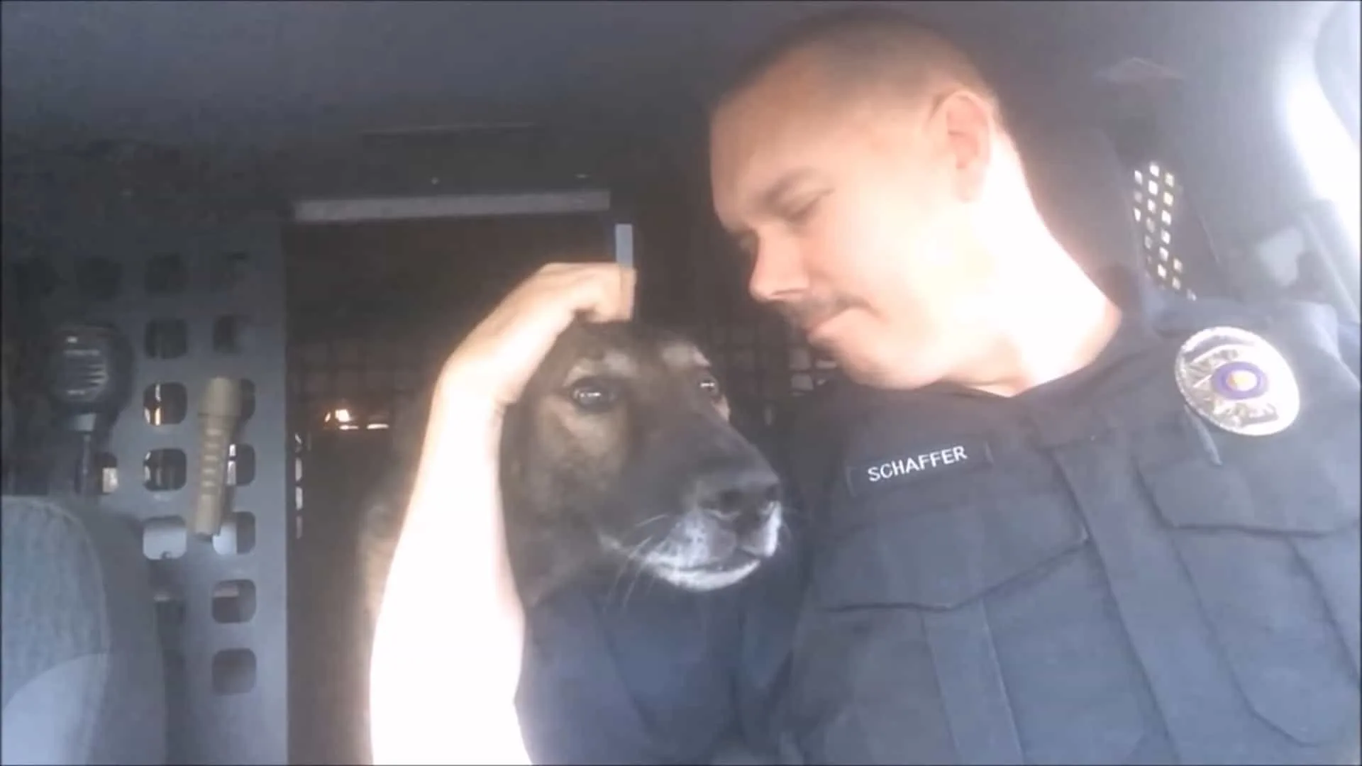 k9 officer hugging german shepherd dog in the car