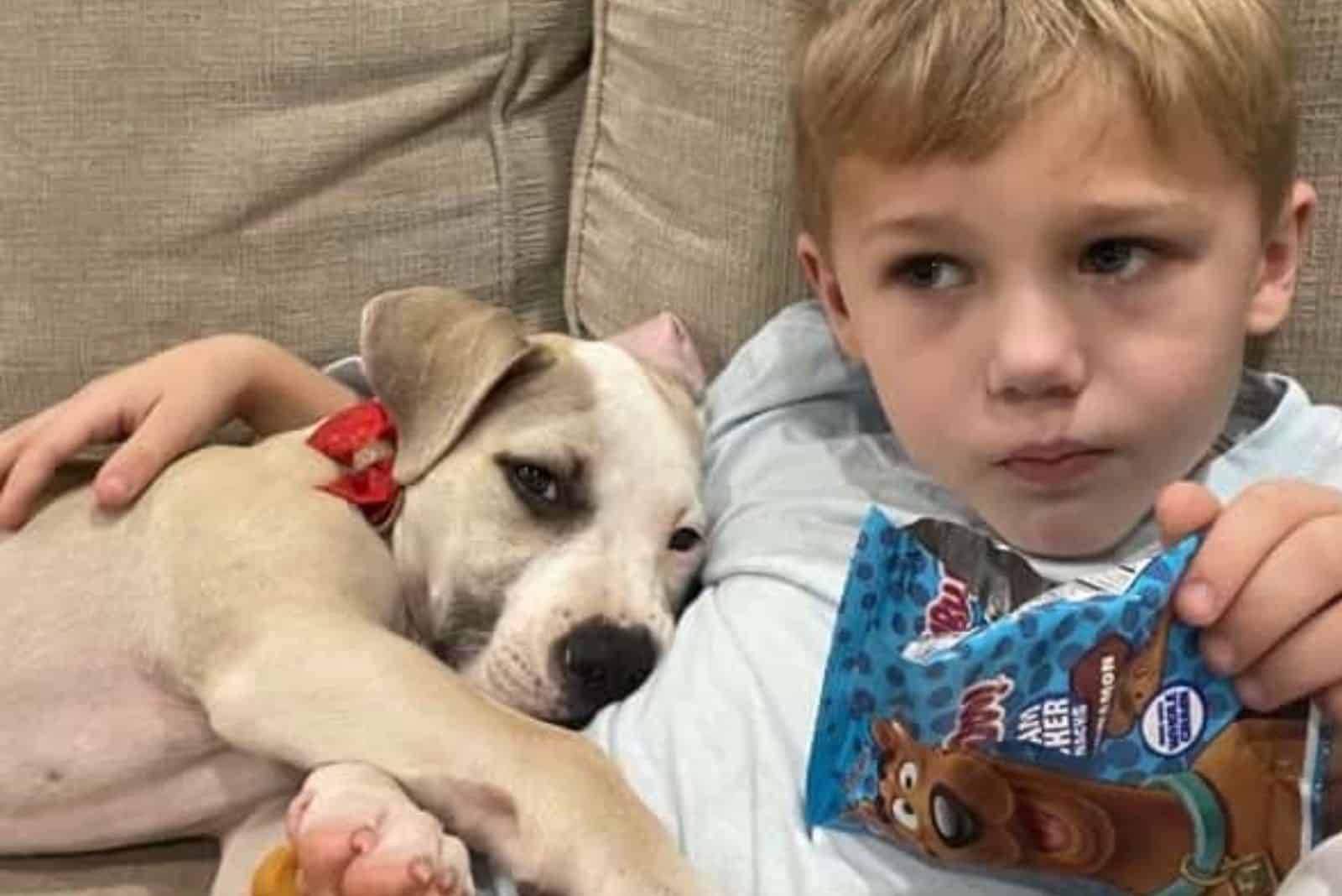 little boy laying with dog