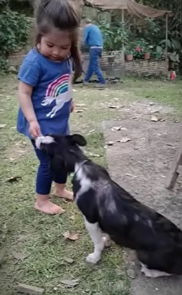 little girl playing with a dog in the yard