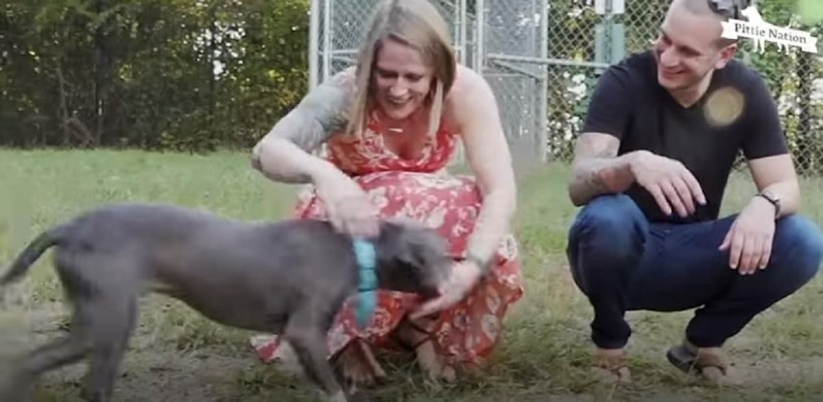 man and woman playing with a dog in the yard