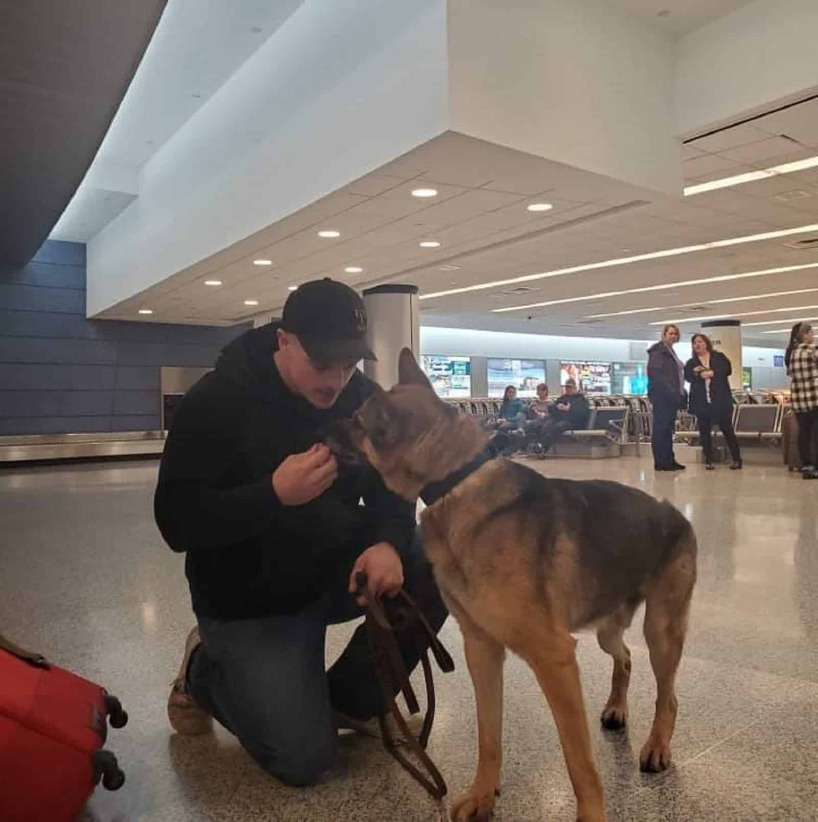 man cuddling german shepherd dog on airport