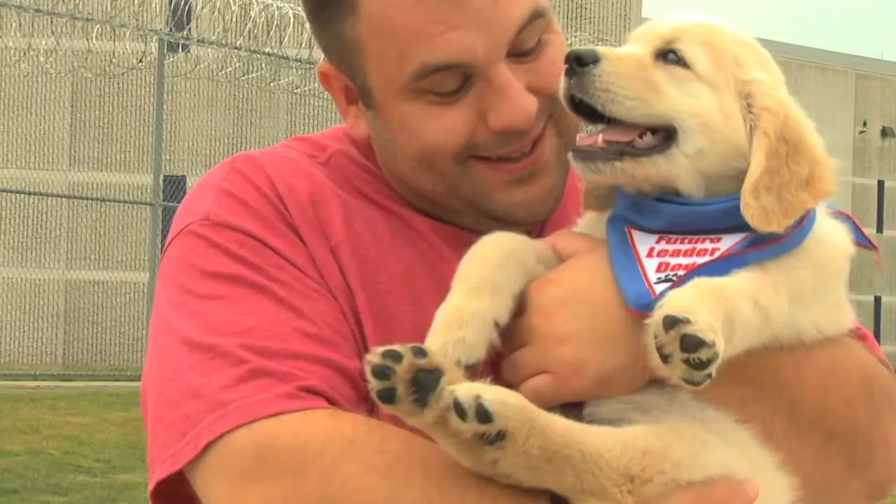hombre sosteniendo un perro feliz