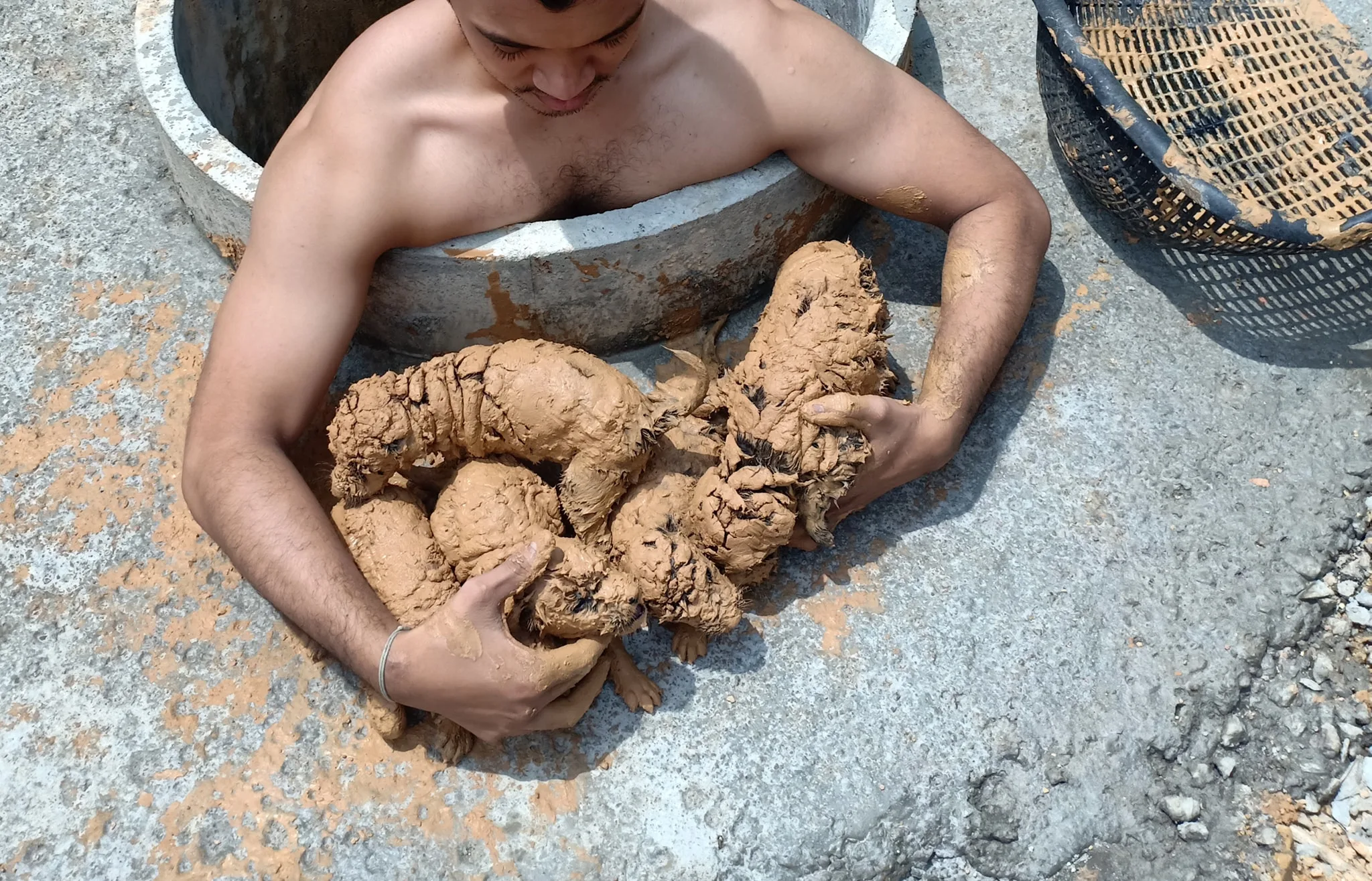 man successfully saves puppies from a muddy well